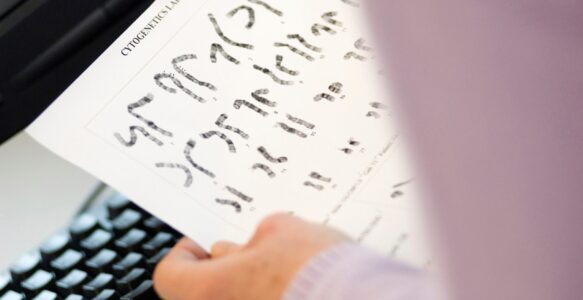 Motion Citogenética